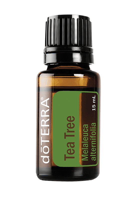 Tea Tree Doterra Essential Oil