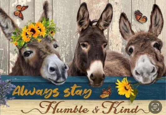 Donkey Always Stay Humble and Kind