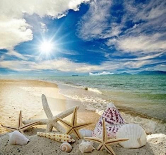 Beach with seashells