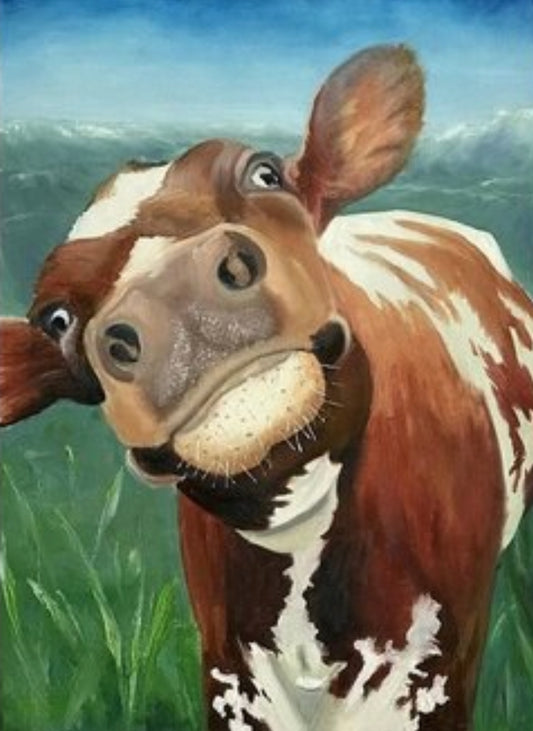 Cow Face up close