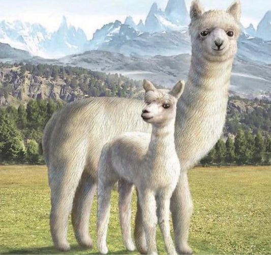 Mama and Baby llama