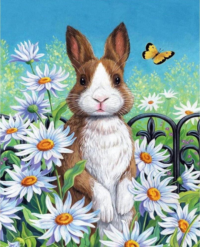 Daisy Rabbit