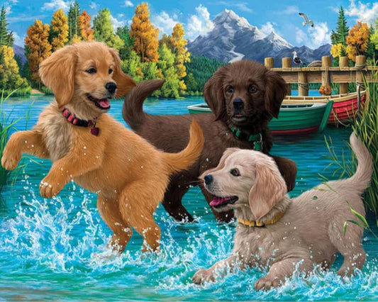 Splash Time Puppies